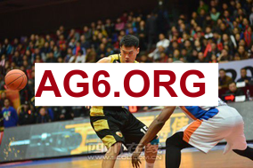 球探足球即时比分手机版